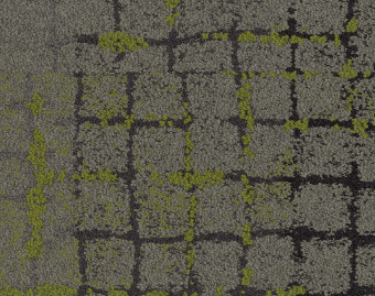 [300111132_1] Moss In Stone - 105566 Flint Edge